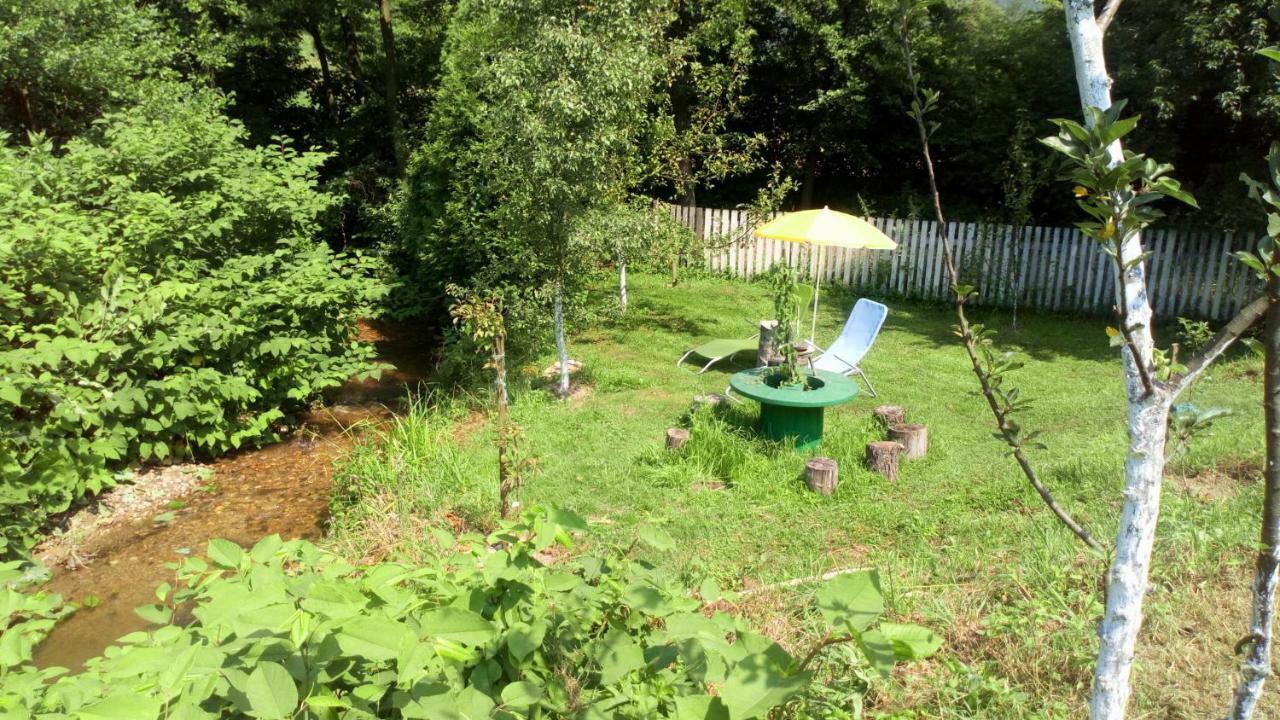 Cottage Forest Stream Visoko Kültér fotó